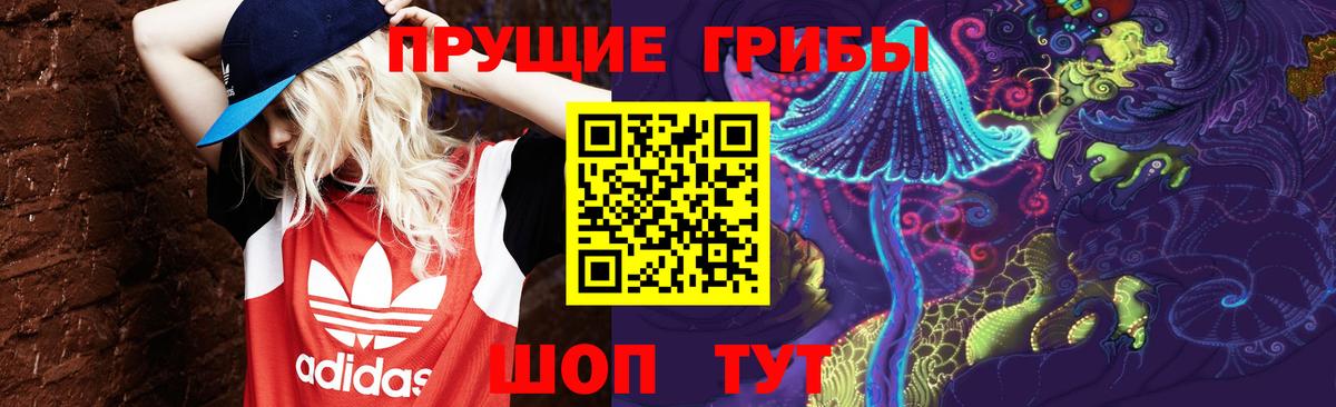 Псилоцибиновые грибы GOLDEN TEACHER Вышний Волочёк