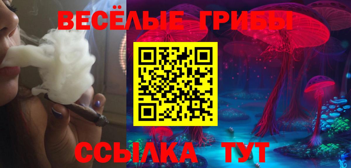 Псилоцибиновые грибы GOLDEN TEACHER  Вход с VPN  Галлюциногенные грибы ЛСД  Вышний Волочёк 